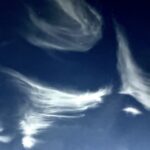 星夜　代々木